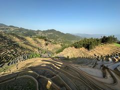 -紫鹊界梯田景区