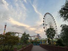 -洋湖国家湿地公园