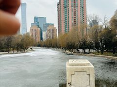 -团结湖公园