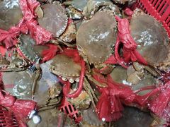 -海鲜e族(马王堆店)