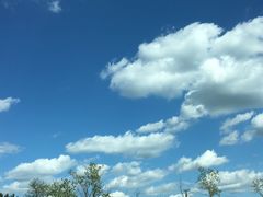 -华特·迪士尼音乐厅