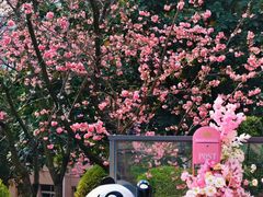 -昆明动物园