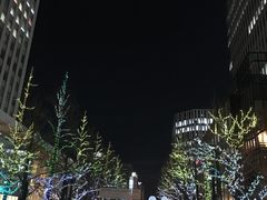 -北海道厅旧本厅舍(旧本庁舎)