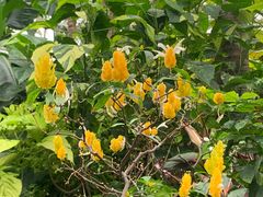 -北京植物园-展览温室