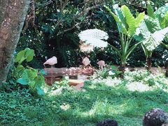 -海南热带野生动植物园