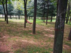 -洨河生态公园