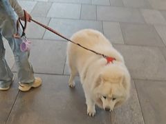 -瑞虹新天地月亮湾