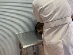 -瑞派福兴宠物医院犬猫全科·骨科·中西医结合(河东店)