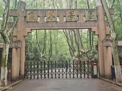 -灵谷景区