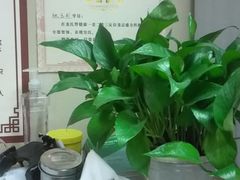 -脊正康推拿整脊馆
