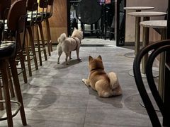 -Carpe Diem精酿空间