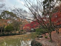 -秋霞圃