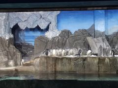 -成都浩海立方海洋公园