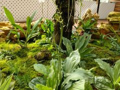 -国家植物园南园