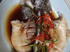 -田螺阿姨自营月嫂·育儿嫂(高新店)