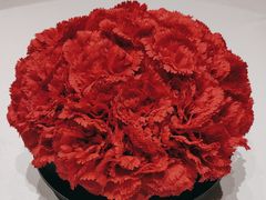 -俏江南(北京环球贸易中心店)