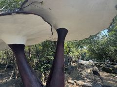 -青芝山风景名胜区