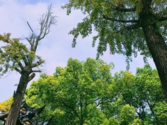 -西园戒幢律寺