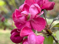 -永定河休闲森林公园