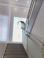 -京世沙龙