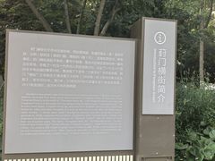 -葑门横街