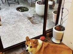 -肥朵食堂(带梦胡同店)