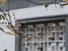 -桂林公园(地铁站)