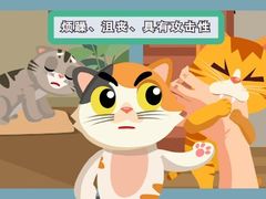 -瑞鹏宠物医院犬猫全科(真大分院)