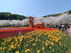 -苏州上方山国家森林公园