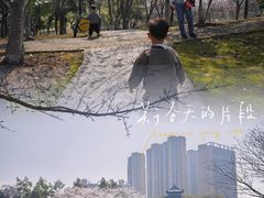 -堤角公园