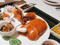 -梧桐Plus·创意京·川料理(万象城店)