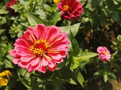 -艾溪湖湿地公园