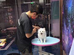 -FAELING PETS美天灵宠物(富力广场店)