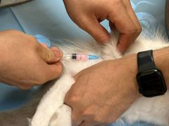 -芭比堂动物医院·CT·微创中心(新顺分院)