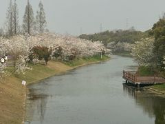 -上海海湾国家森林公园