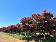 -云漫湖生态度假公园