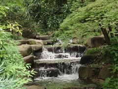 -中国茶叶博物馆(双峰馆区)