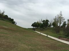 -滆湖低碳生态公园