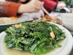 炒地瓜叶-吴记富苑(朝阳店)