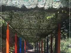 -百杖潭景区