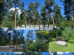 -美人松苑