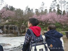 -秀丽东方