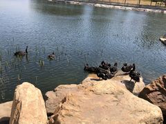 -长春世界雕塑园冰雪艺术天地