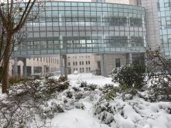 -天津市儿童医院(北辰龙岩院区)
