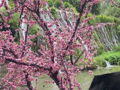 -沕沕水生态风景区