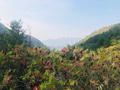 -云岫谷自然风景区