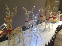 -博悦公馆尚悦自助餐厅