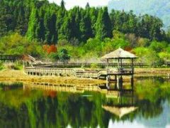 -千岛湖龙川湾