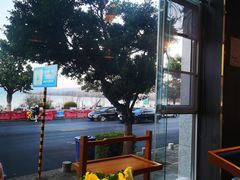 -野菌皇海景野生菌火锅(滨海大道店)