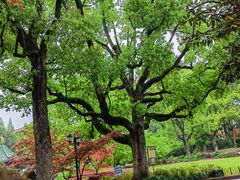 -申粤轩酒楼·三十年粤菜经典(丁香花园店)